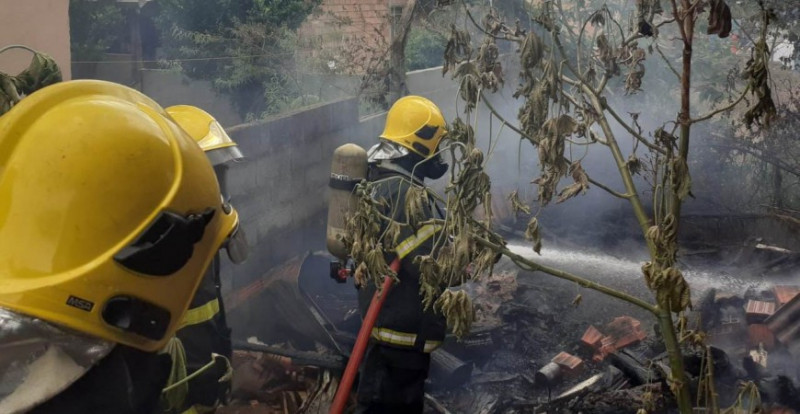 og:image