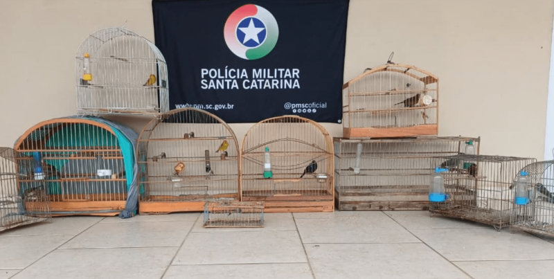 Polícia Militar Ambiental resgata aves mantidas em cativeiro em São José do Cerrito
